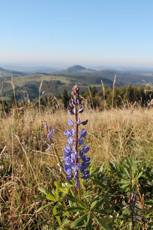 Pension Gasthof Zum Lamm Bischofsheim an der Rhön Екстериор снимка